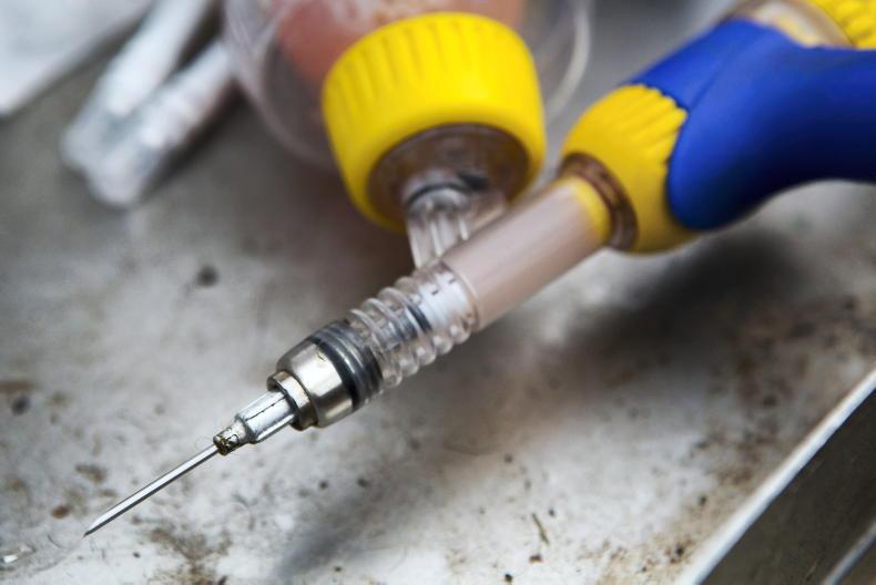 Vaccine stumbling block remains for live exports to Britain Vaccine stumbling block remains for live exports to Britain