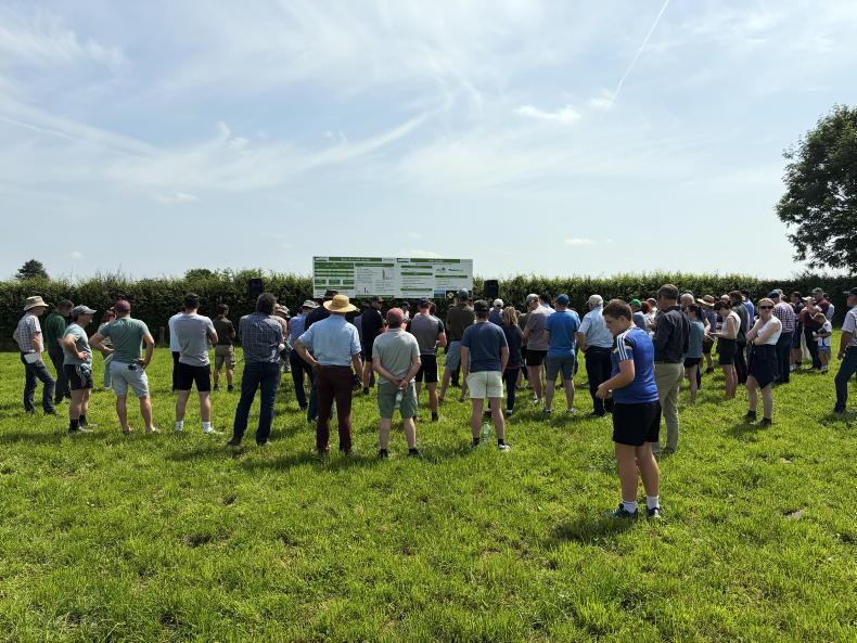 Watch: NDC/Kerrygold Quality Milk Awards farm walk in Co Tipperary Watch: NDC/Kerrygold Quality Milk Awards farm walk in Co Tipperary