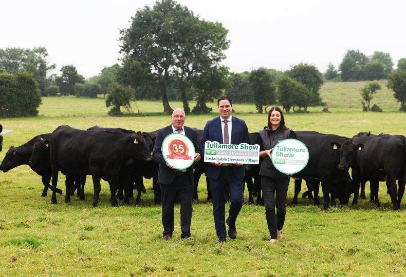 International Year of the Woman Farmer to be celebrated at Tullamore Show International Year of the Woman Farmer to be celebrated at Tullamore Show