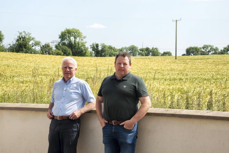 Farmers fight to save tillage land from data centre development Farmers fight to save tillage land from data centre development