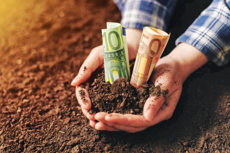 The basics of making your money work harder for you The basics of making your money work harder for you
