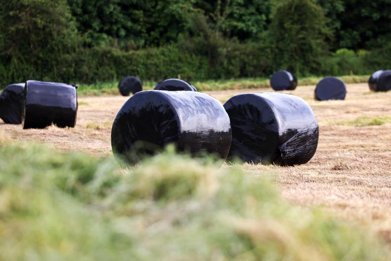 Sheep Management: replenishing nutrients, culling ewes and quarantine drenches Sheep Management: replenishing nutrients, culling ewes and quarantine drenches