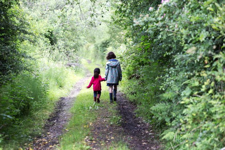 Draft guidelines for rural and Gaeltacht housing welcomed Draft guidelines for rural and Gaeltacht housing welcomed