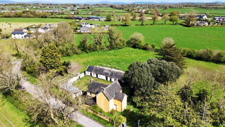 Limerick farm exceeds guide by more than 40% at auction Limerick farm exceeds guide by more than 40% at auction