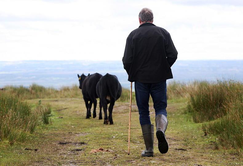 INHFA calls for tax-free farm succession scheme under CAP 2028 INHFA calls for tax-free farm succession scheme under CAP 2028