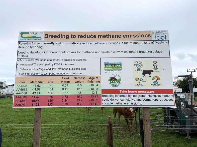 BEEF 2026: breeding to reduce methane emissions from beef cattle BEEF 2026: breeding to reduce methane emissions from beef cattle