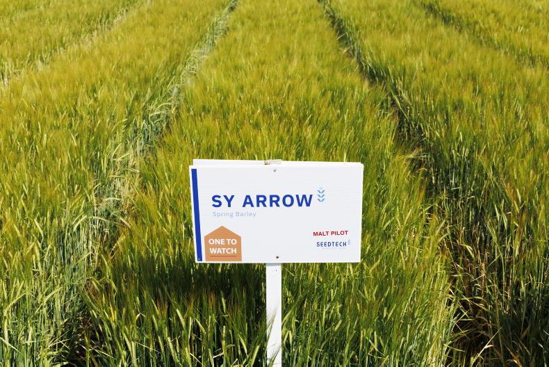 More new spring barley varieties on the way More new spring barley varieties on the way