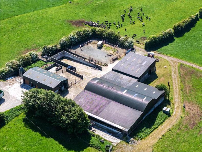Lake County farm a dairy good deal for €950,000 Lake County farm a dairy good deal for €950,000