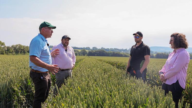 Watch: gate closed on a now promising winter wheat crop Watch: gate closed on a now promising winter wheat crop
