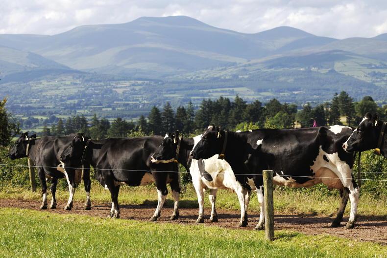 ‘Heavy capital investment’ needed to meet new slurry storage rules ‘Heavy capital investment’ needed to meet new slurry storage rules