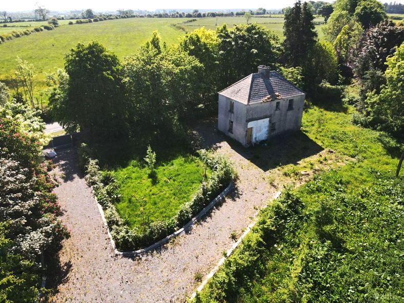 90ac farm in Ballinasloe is ready to grow 90ac farm in Ballinasloe is ready to grow