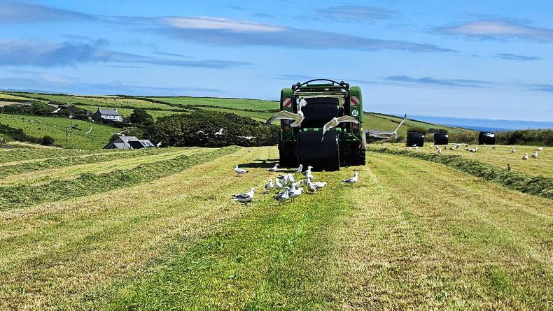 Farmer Writes: making your farm easier to work at Farmer Writes: making your farm easier to work at