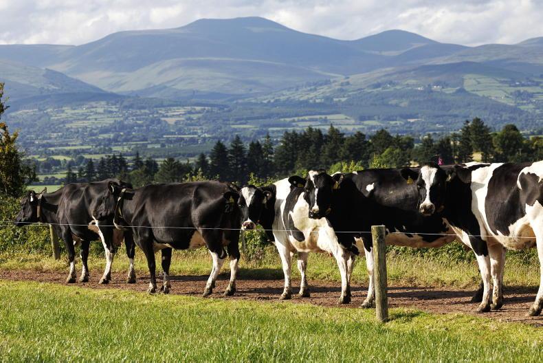 Dairy farm incomes up 41% in 2025 Dairy farm incomes up 41% in 2025