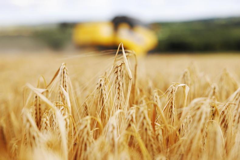 Tillage farm incomes rise as support payments underpin viability Tillage farm incomes rise as support payments underpin viability