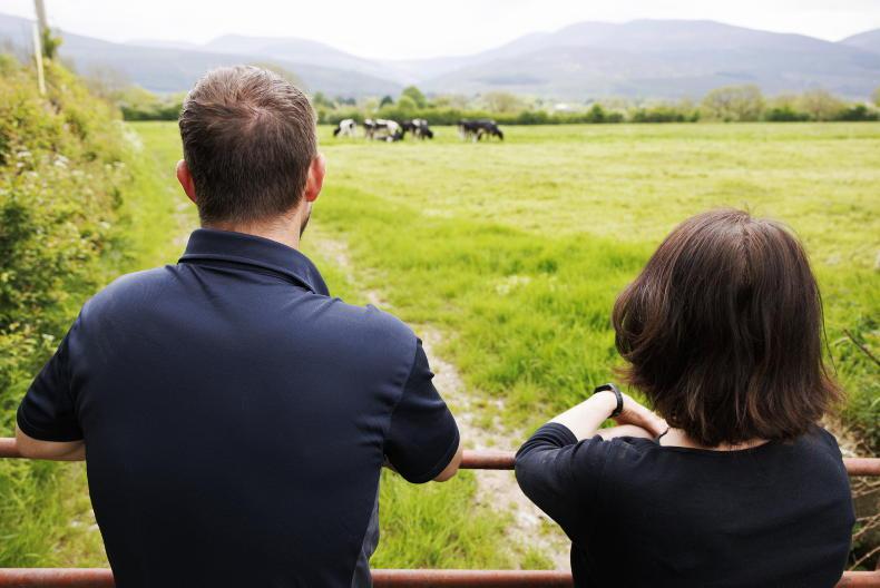 Plans for new young farmer scheme in NI Plans for new young farmer scheme in NI