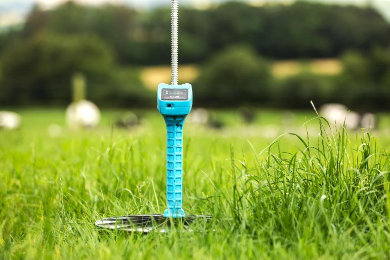 Lift in grass growth with dry spell looming Lift in grass growth with dry spell looming