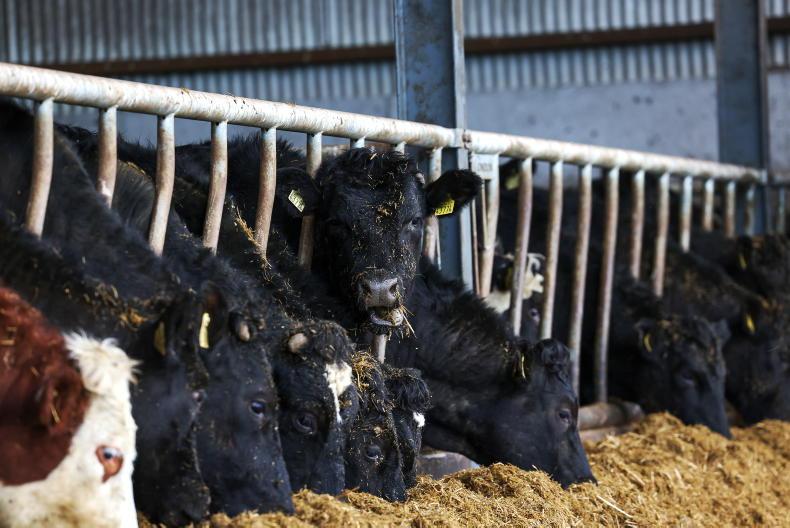 Rise in number of farmers receiving the pension Rise in number of farmers receiving the pension