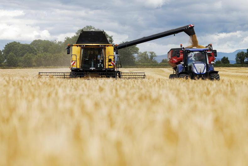 Grain Trends: grain steady, oilseed rape up Grain Trends: grain steady, oilseed rape up
