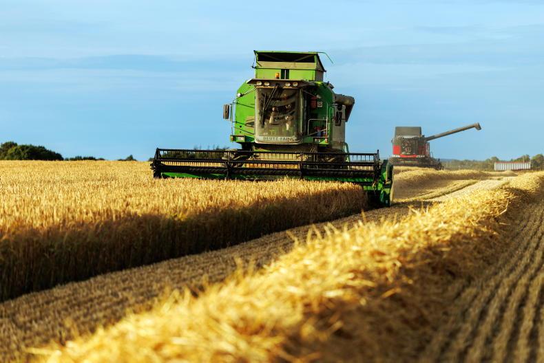 SIM farmers left in limbo as harvest gets underway SIM farmers left in limbo as harvest gets underway