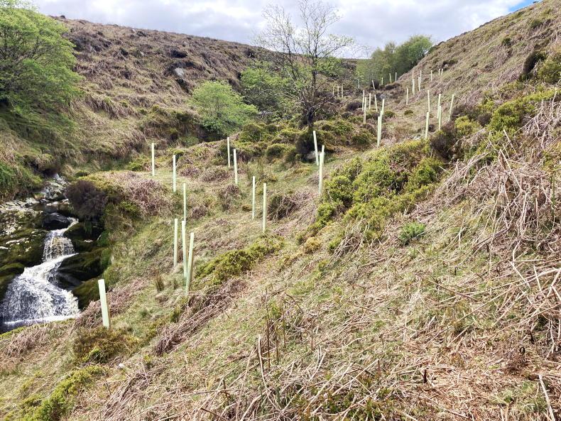 Last chance for ACRES I farmers to apply for NPIs Last chance for ACRES I farmers to apply for NPIs