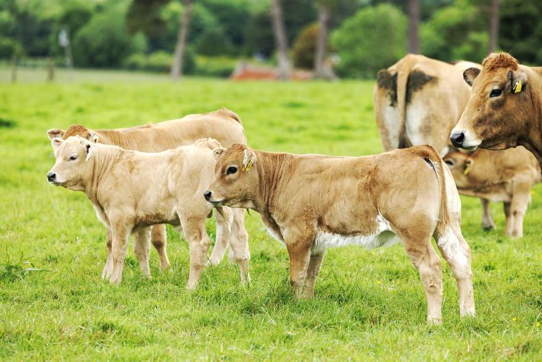 Staying on top of Nitrates production figures Staying on top of Nitrates production figures
