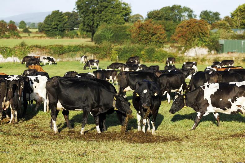 Dairy management: leaning into a looming drought Dairy management: leaning into a looming drought
