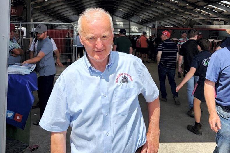 Watch: behind the build of Cedarmore herd in Kanturk Watch: behind the build of Cedarmore herd in Kanturk