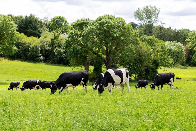 Fertiliser rebate included in Tirlán's €1.7m weather support package Fertiliser rebate included in Tirlán's €1.7m weather support package