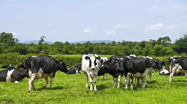 IFA calls for co-ops to maximise June milk prices IFA calls for co-ops to maximise June milk prices