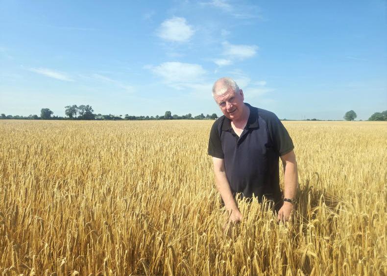 Good barley, good weather and a good rotation Good barley, good weather and a good rotation