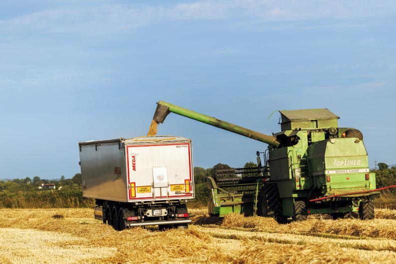 Choose native oats instead of imported palm kernel – IFA Choose native oats instead of imported palm kernel – IFA