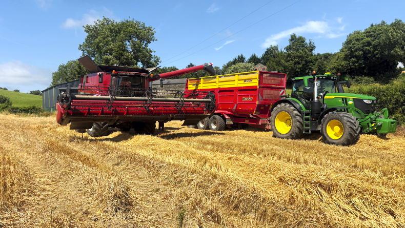 Low-moisture grain and thriving maize Low-moisture grain and thriving maize