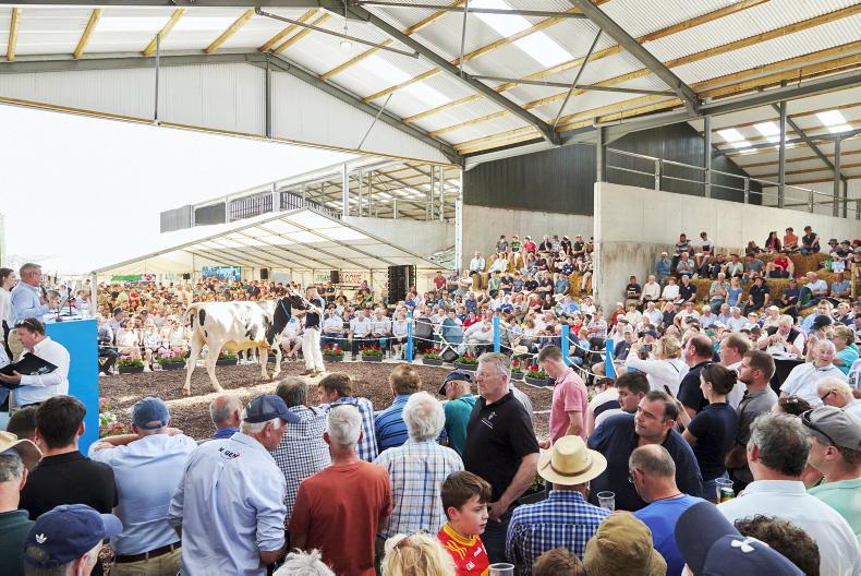Watch: dreams come true for Cedarmore Watch: dreams come true for Cedarmore