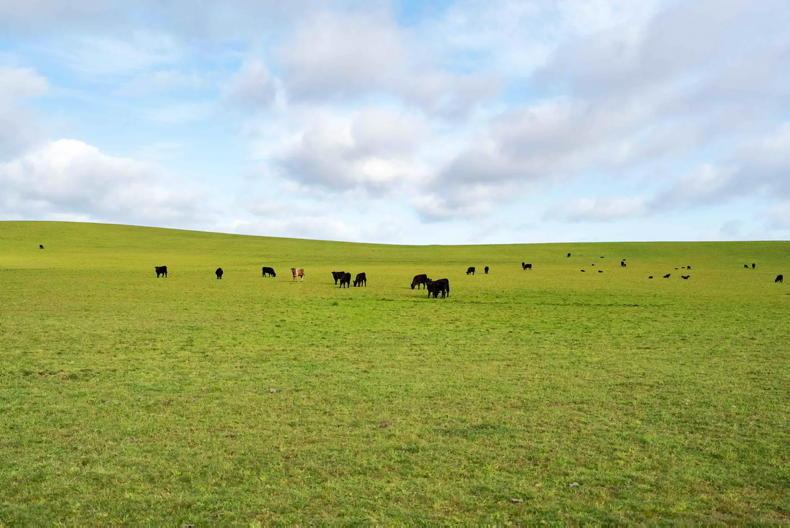 Biggest farm in Tasmania bought by UK fund Gresham House Biggest farm in Tasmania bought by UK fund Gresham House