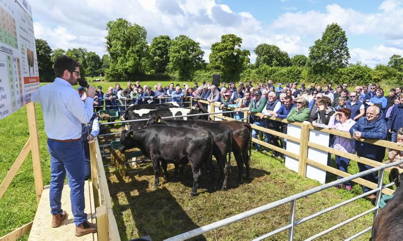 What does it take to build and operate a resilient dairy-beef enterprise? What does it take to build and operate a resilient dairy-beef enterprise?
