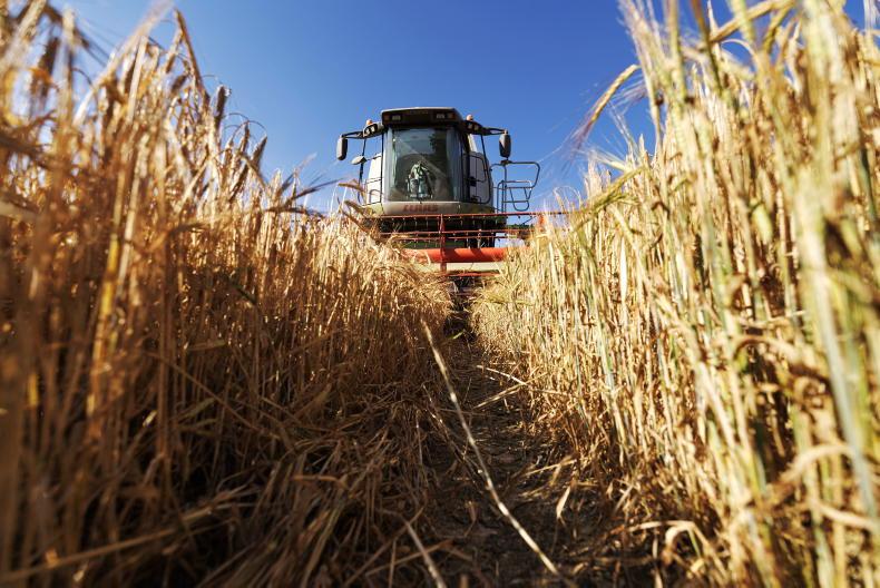 Growers hit out at lack of clarity on straw scheme Growers hit out at lack of clarity on straw scheme