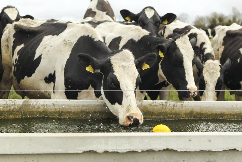 Uisce Éireann delays water shut-off after farmers raise heatwave fears Uisce Éireann delays water shut-off after farmers raise heatwave fears