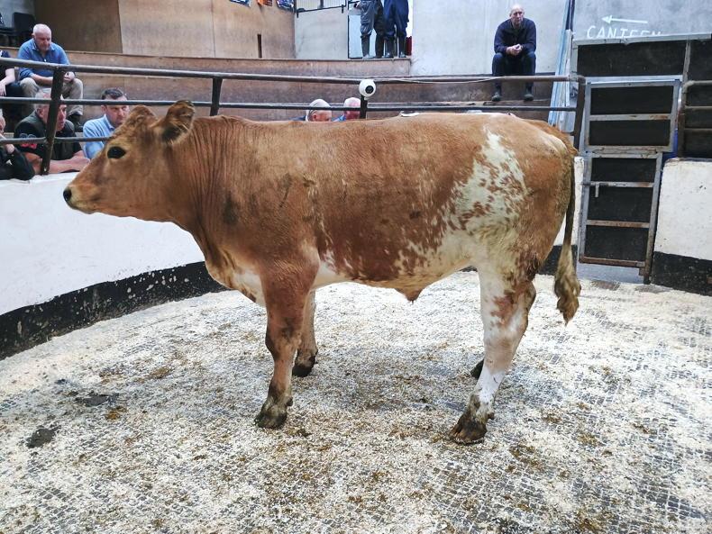 Falling beef prices has consequences Falling beef prices has consequences