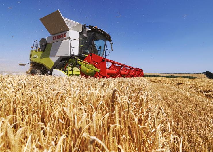 Mixed yields as harvest continues Mixed yields as harvest continues