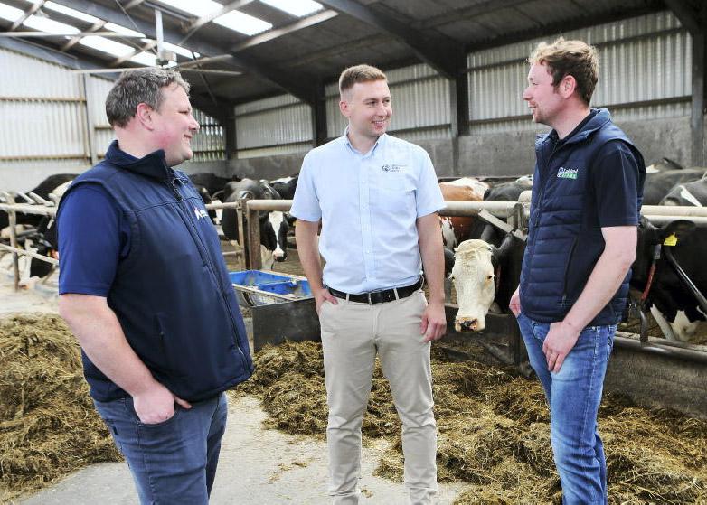 High milk output from robot in Antrim High milk output from robot in Antrim