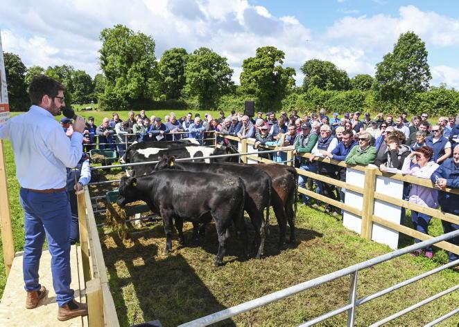 Tipp dairy-beef farm returns €74/hour worked Tipp dairy-beef farm returns €74/hour worked