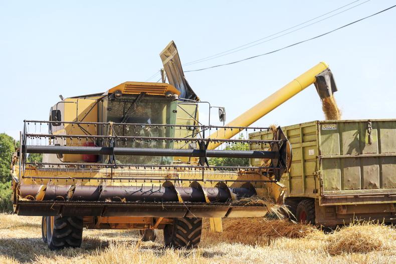 Grain Trends: prices lift this week Grain Trends: prices lift this week