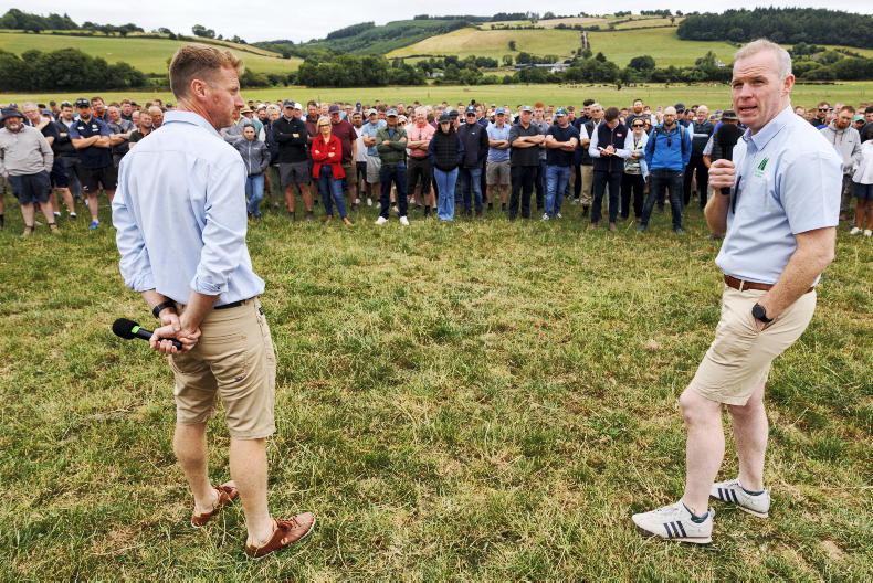 How succession helped transform the O'Gorman family farm How succession helped transform the O'Gorman family farm