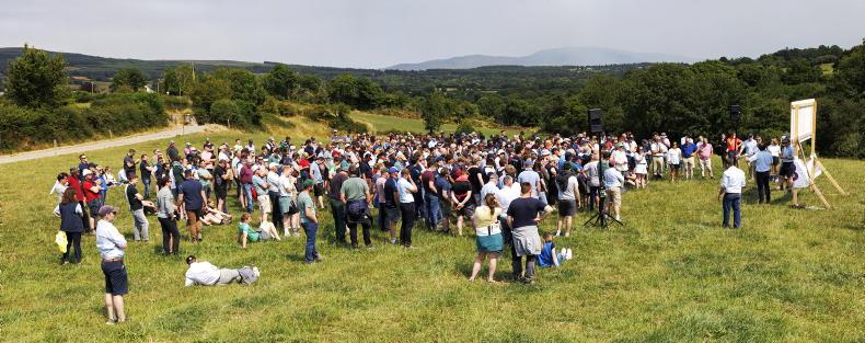 How succession helped transform the O'Gorman family farm How succession helped transform the O'Gorman family farm