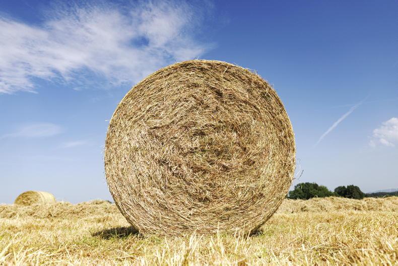 On-farm auction of 600 hay bales in Wexford On-farm auction of 600 hay bales in Wexford