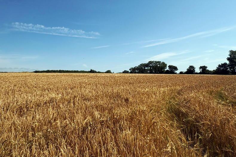 €2m price tag for island farm with a difference €2m price tag for island farm with a difference