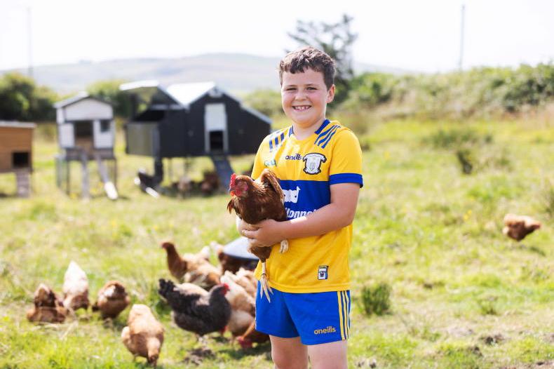 Honesty box for Co Clare young entrepreneur goes viral Honesty box for Co Clare young entrepreneur goes viral