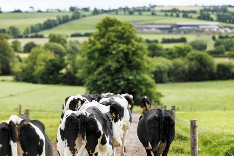 Kinisla milk price remains unchanged for June Kinisla milk price remains unchanged for June