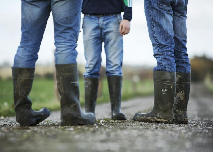 Why financial planning for farm families is simpler than you think Why financial planning for farm families is simpler than you think