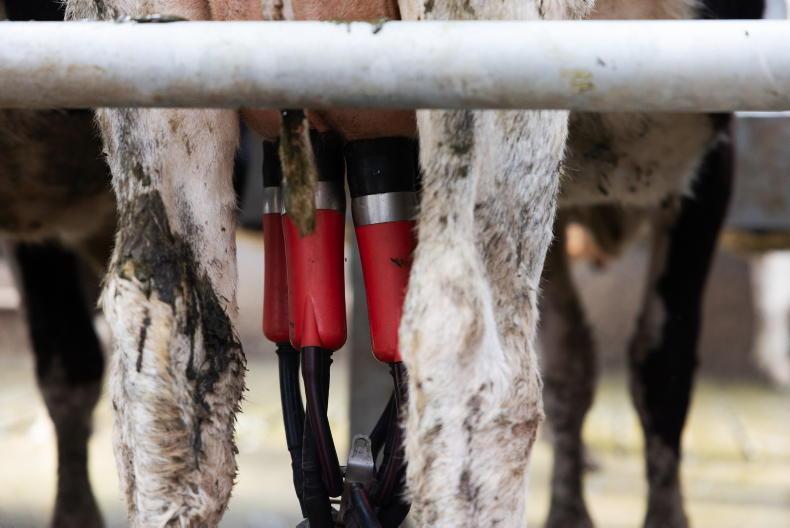 Tirlán holds June milk price as part of three-month set rate Tirlán holds June milk price as part of three-month set rate